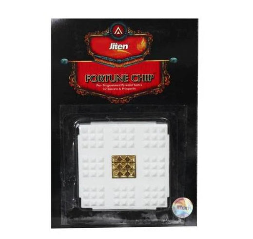 Fortune Chip