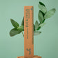 Palo Santo & Eucalyptus Incense Sticks