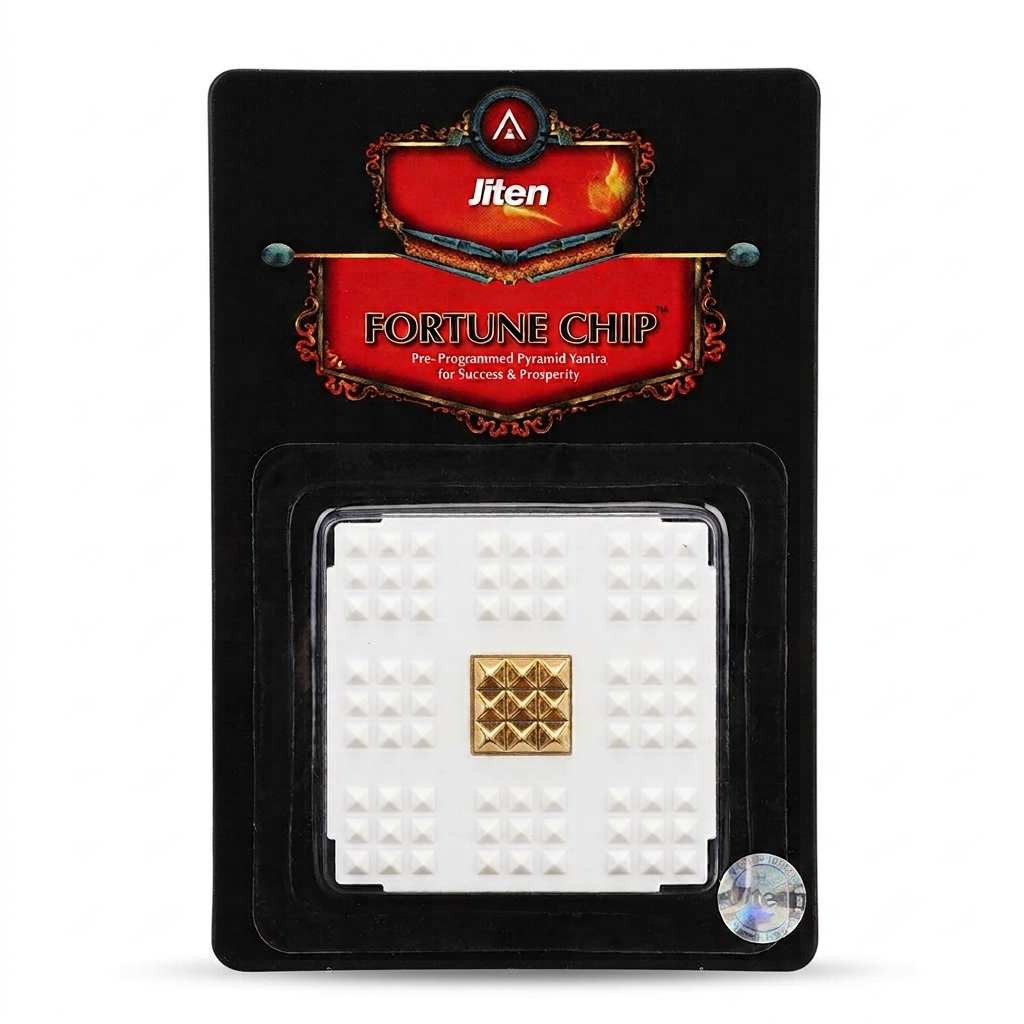 Fortune Chip