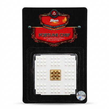 Fortune Chip