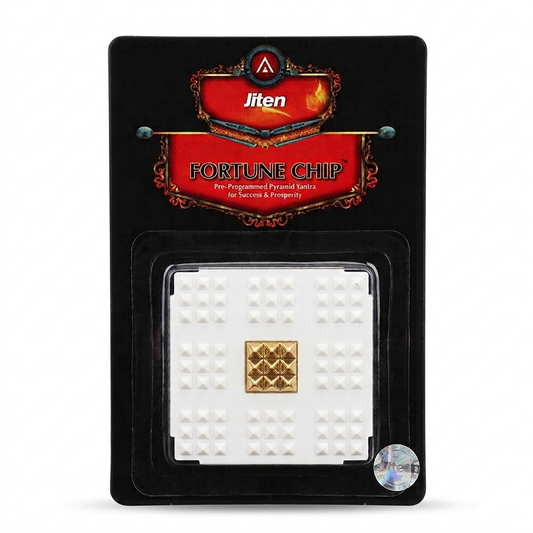 Fortune Chip