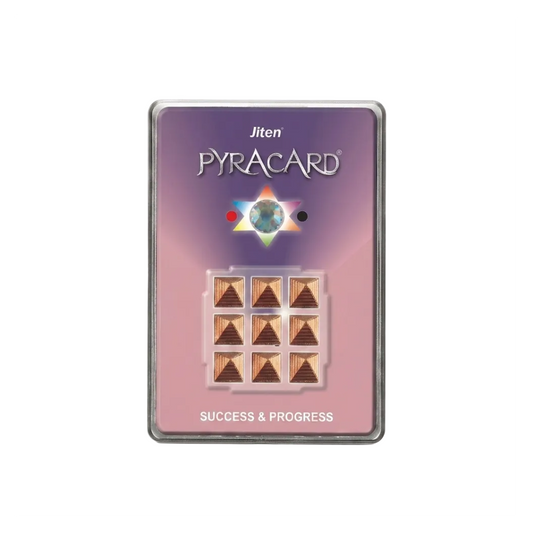 Pyra Card - Success & Progress