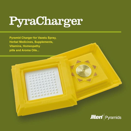 (2-4 weeks Pre-order) Pyra Charger