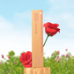 Palo Santo & Rose Incense Sticks