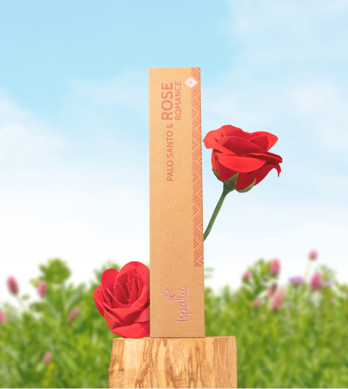 Palo Santo &amp; Rose Incense Sticks