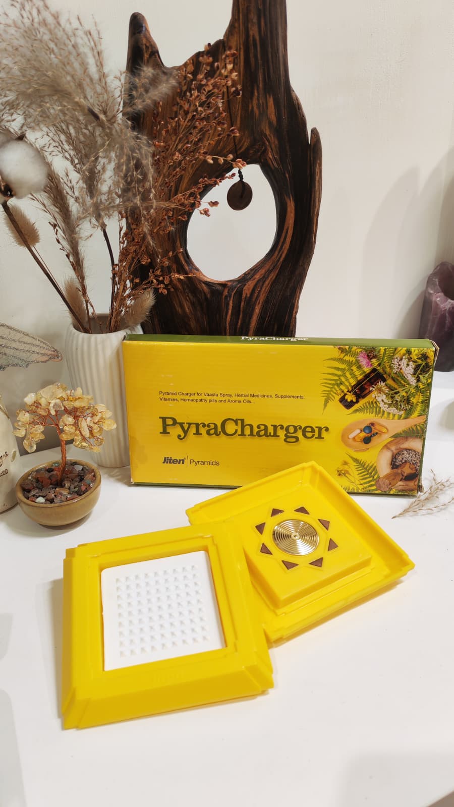 (2-4 weeks Pre-order) Pyra Charger