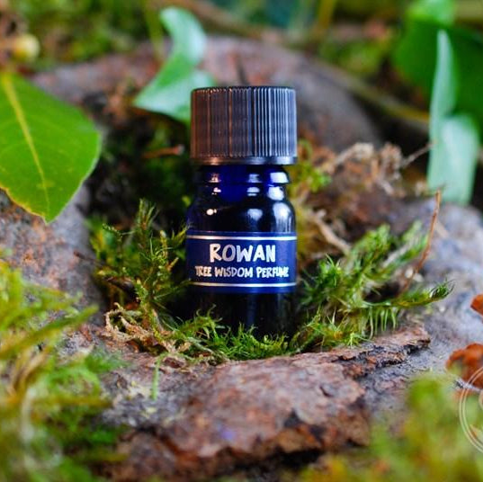 Rowan Tree Perfume